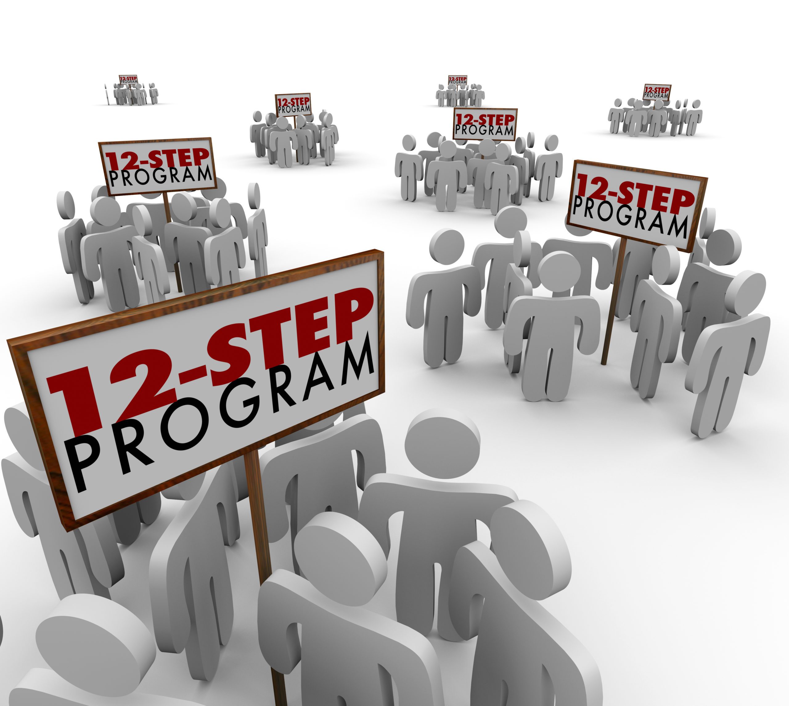 What Is A 12 Step Program Veritas Detox